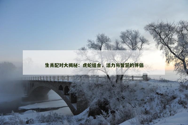 生肖配对大揭秘:虎蛇组合,活力与智慧的伴侣