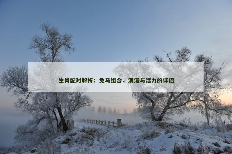 生肖配对解析:兔马组合,浪漫与活力的伴侣