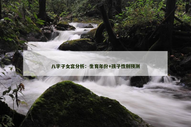 八字子女宫分析:生育年份+孩子性别预测