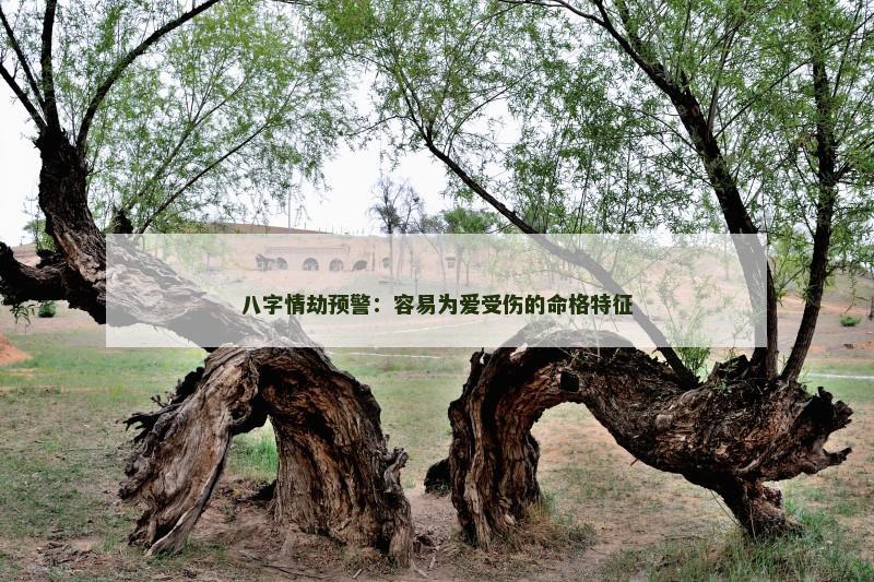 八字情劫预警:容易为爱受伤的命格特征