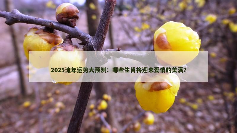 2025流年运势大预测:哪些生肖将迎来爱情的美满?