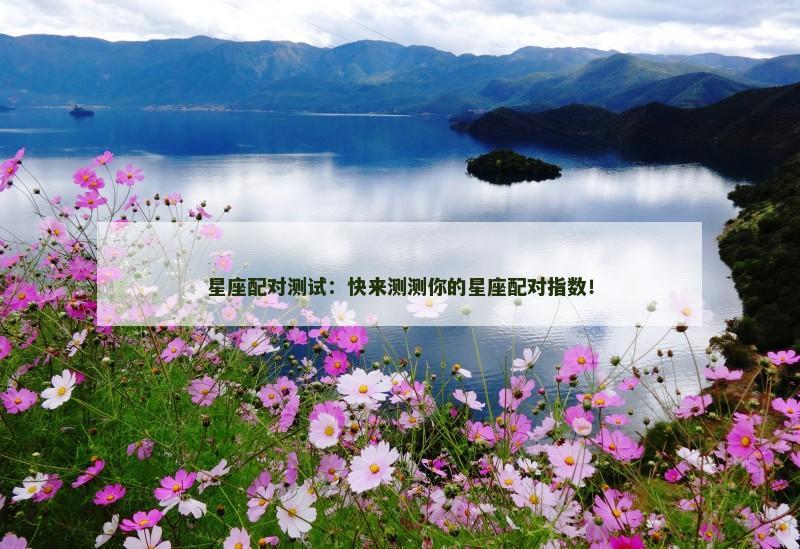 星座配对测试:快来测测你的星座配对指数!