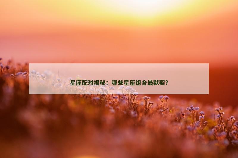 星座配对揭秘:哪些星座组合最默契?