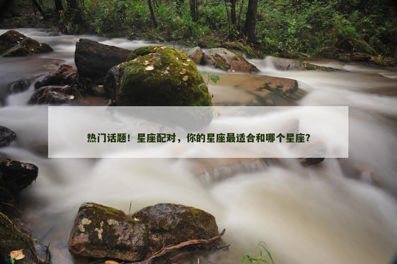 热门话题!星座配对,你的星座最适合和哪个星座?