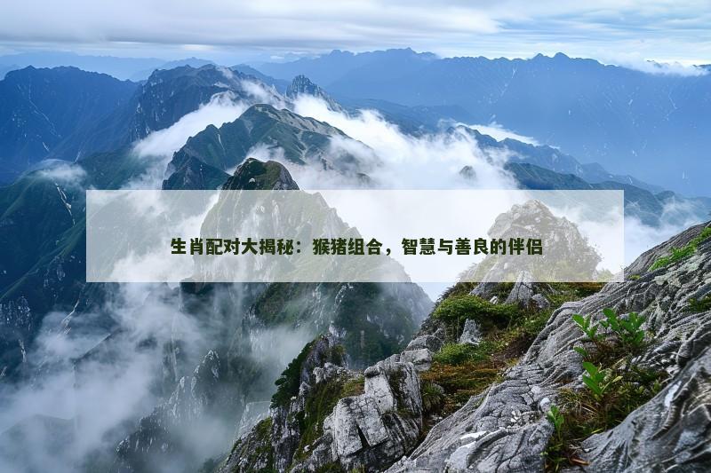 生肖配对大揭秘:猴猪组合,智慧与善良的伴侣