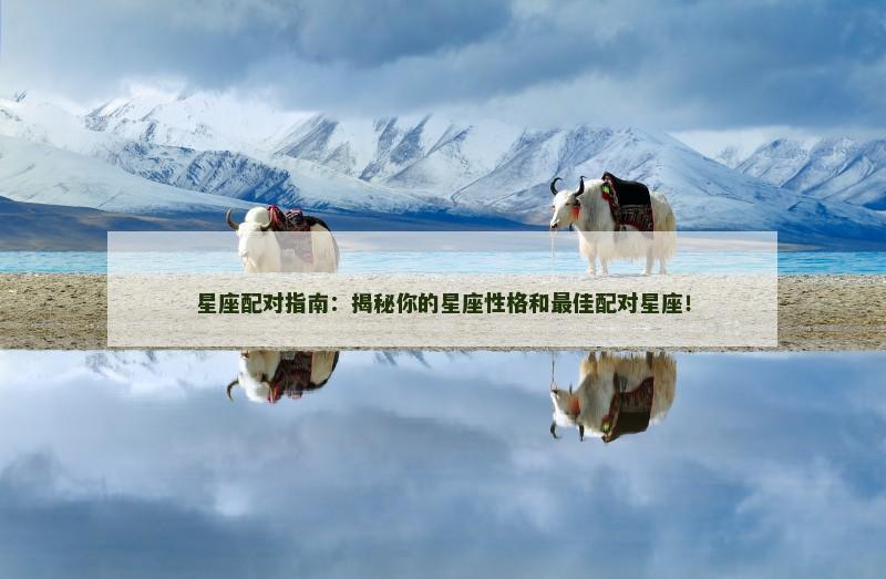 星座配对指南:揭秘你的星座性格和最佳配对星座!
