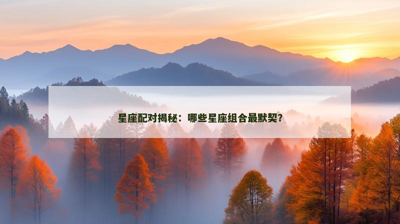星座配对揭秘:哪些星座组合最默契?