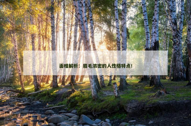 面相解析:眉毛浓密的人性格特点!