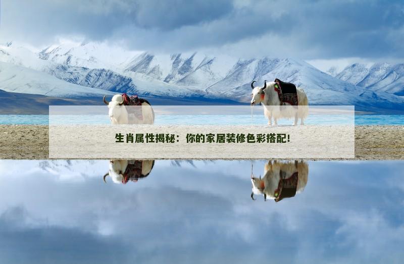 生肖属性揭秘:你的家居装修色彩搭配!
